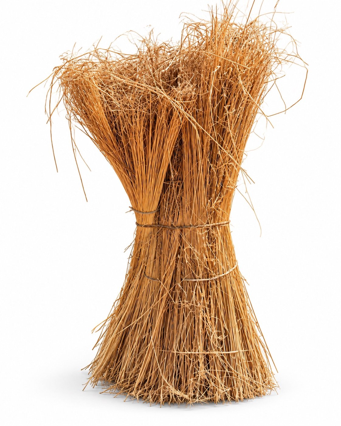 Harvested flax bundle